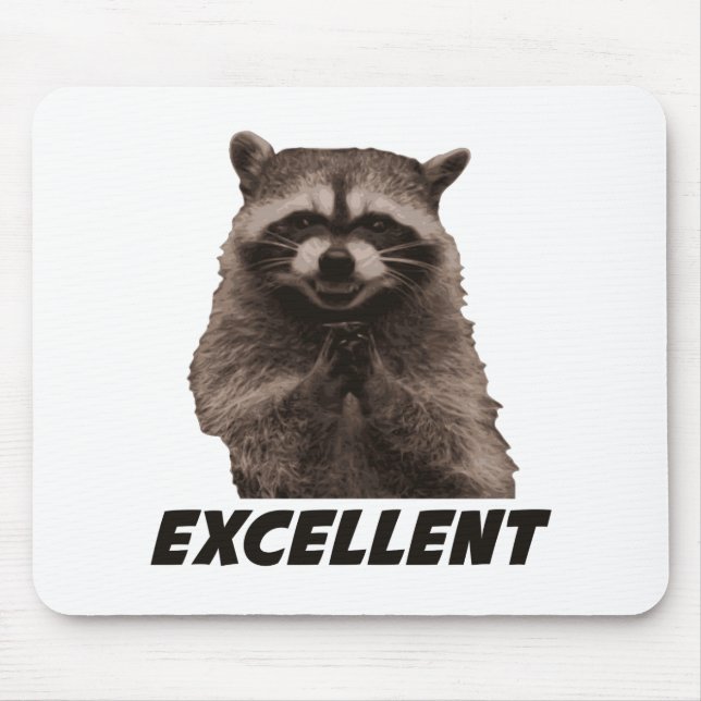 Excellent Evil Plotting Racoon Mouse Pad (Front)
