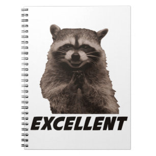 Excellent Evil Plotting Racoon Notebook