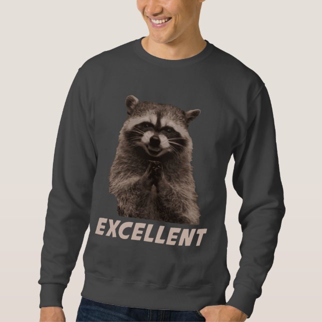 Excellent Evil Plotting Racoon Sweatshirt (Front)