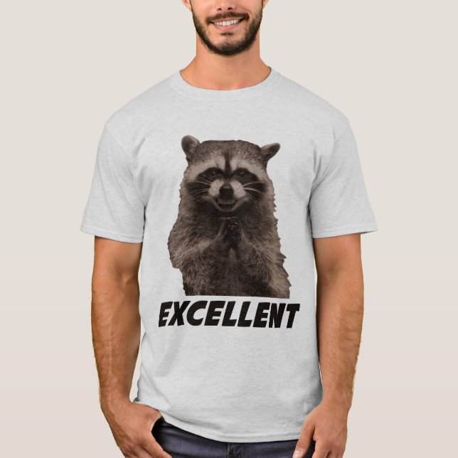 Excellent Evil Plotting Racoon T-Shirt (Front)