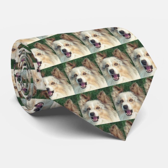 Exceptionally Beautiful Dog Tie (Rolled)