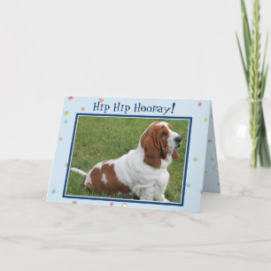 "Excited" Basset On Birthday Card W/Hat & Confetti