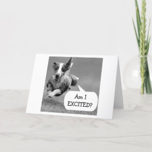 EXCITED DOG CANNOT WAIT FOR YOUR BIRTHDAY CARD