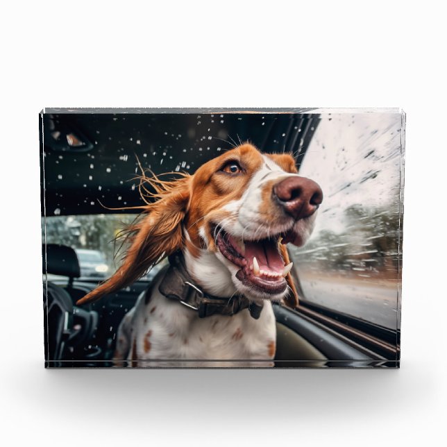 Excited Dog on Rainy Car Ride Art Print Photo Block (Front)