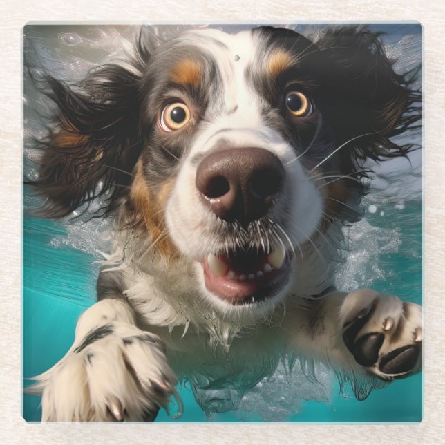 Excited Dog Swimming Underwater Design Glass Coaster (Front)