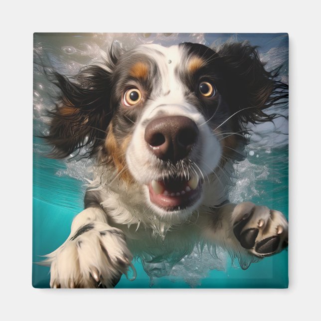 Excited Dog Swimming Underwater Design Magnet (Front)