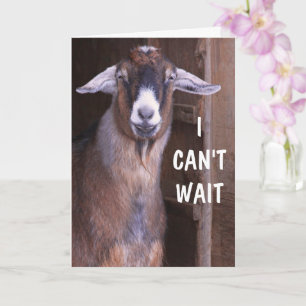 Excited Goat Happy Birthday Card