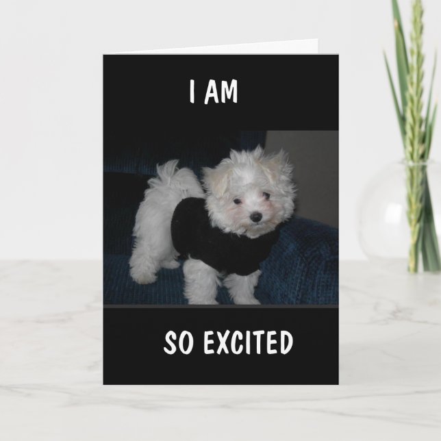 EXCITED PUP SENDS YOU A *9th BIRTHDAY* Card (Front)