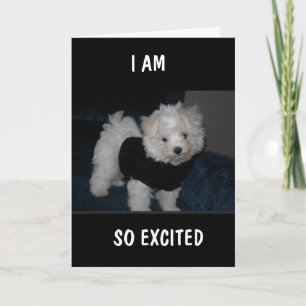EXCITED PUP SENDS YOU A *9th BIRTHDAY* Card