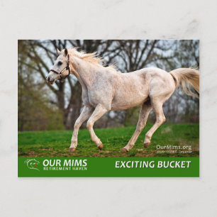 Exciting Bucket postcard