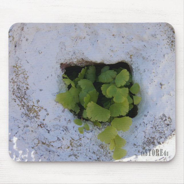 Exclusive Mousepad - Wall 044 (Front)