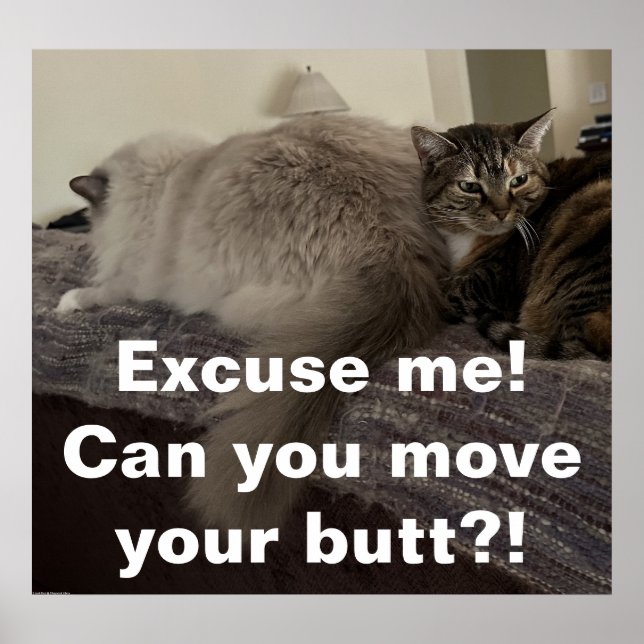 Excuse Me? Can you move your butt?! Poster (Front)