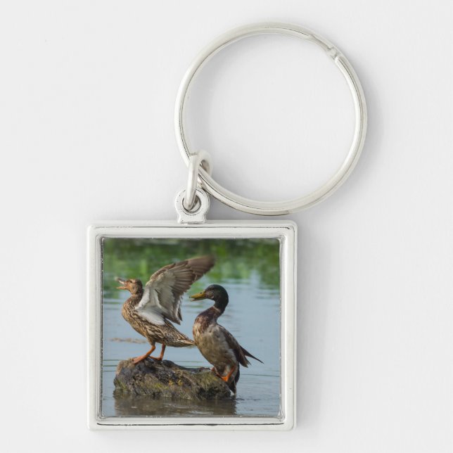 Excuse Me Key Ring (Front)