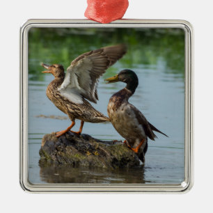 Excuse Me Metal Ornament