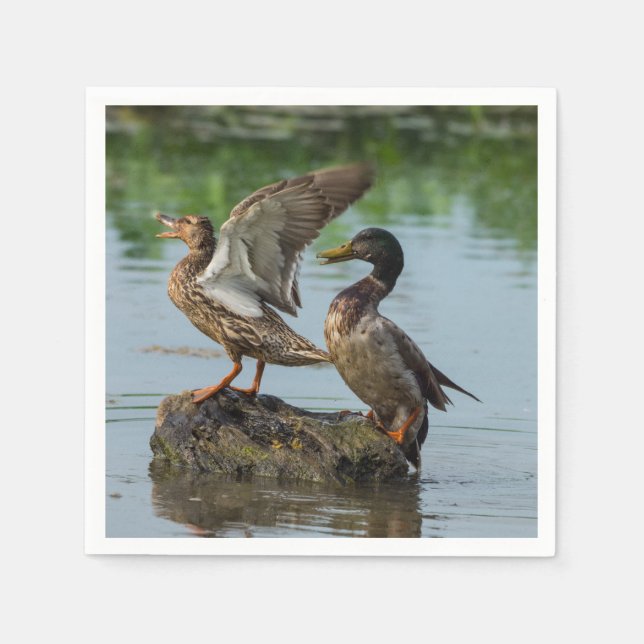 Excuse Me Napkin (Front)