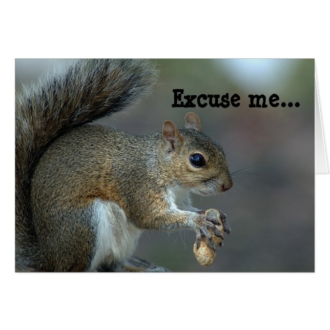 Excuse me ...The feeder is EMPTY! (Front Horizontal)