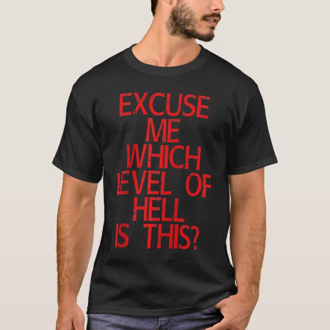 Excuse Me Which Level Of Hell Is This Raglan T-Shirt (Front)
