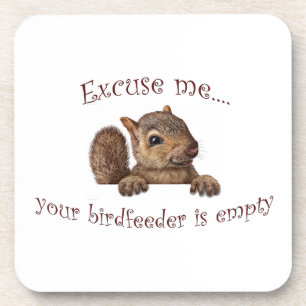 Excuse me...your birdfeeder is empty coaster