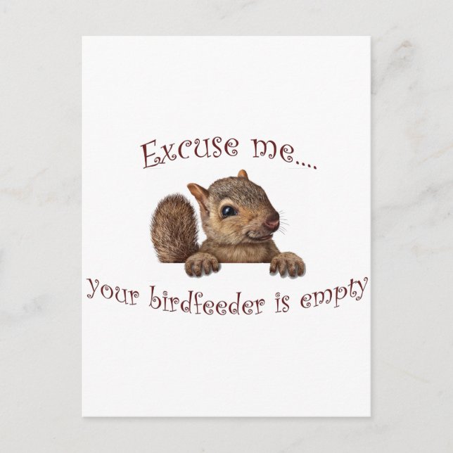 Excuse me...your birdfeeder is empty postcard (Front)