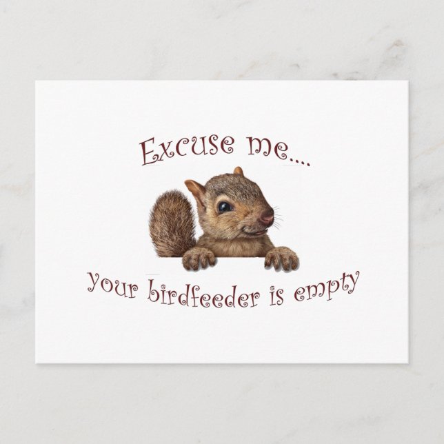 Excuse me...your birdfeeder is empty postcard (Front)