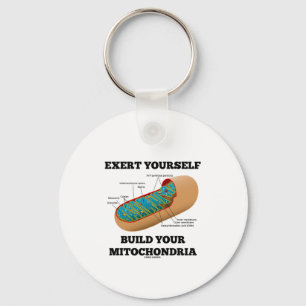 Exert Yourself Build Your Mitochondria Key Ring