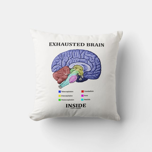 Exhausted Brain Inside Anatomical Brain Humour Cushion (Front)