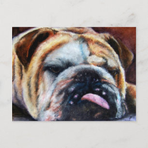 Exhausted (Bulldog) Postcards