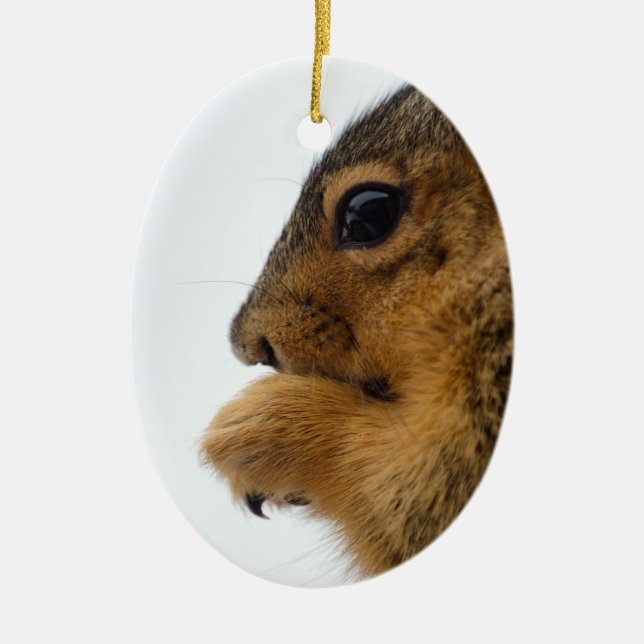 Existential Squirrel Ceramic Ornament (Front)