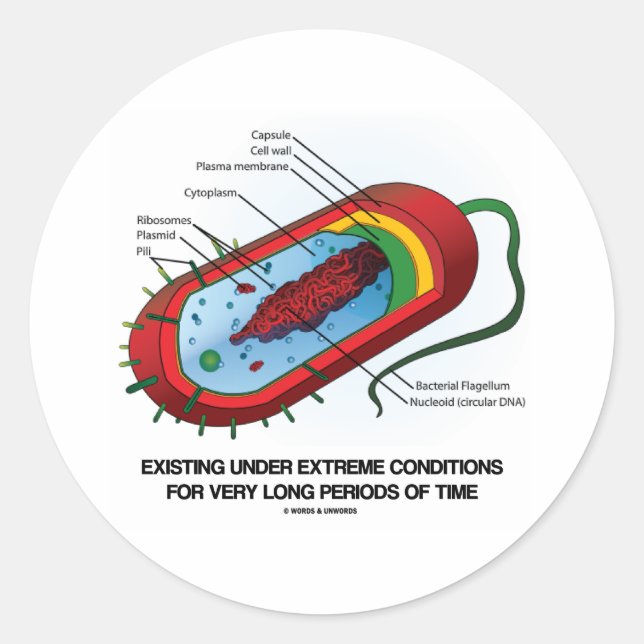 Existing Under Extreme Conditions Very Long Time Classic Round Sticker (Front)