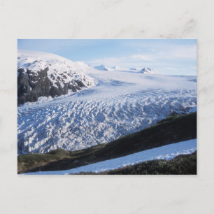 Exit Glacier in Kenai Fjords National Park, Postcard