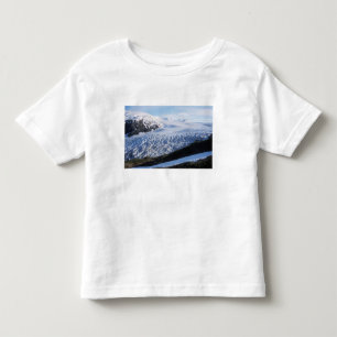 Exit Glacier in Kenai Fjords National Park, Toddler T-Shirt