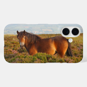Exmoor pony, horse, Somerset, England iPhone 16 Case