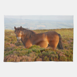 Exmoor pony, horse, Somerset, England Tea Towel