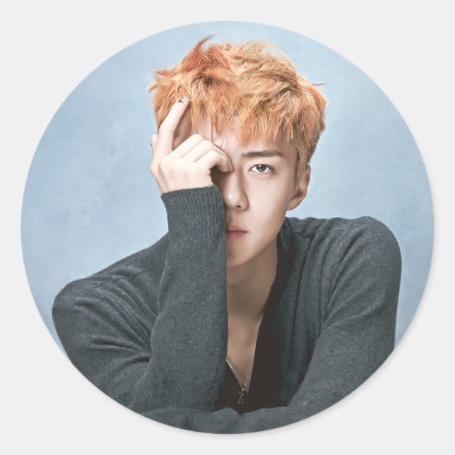 EXO Sehun Stickers (Front)