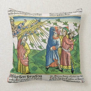 Exodus 10:1-20 The Seven Plagues of Egypt: the pla Cushion