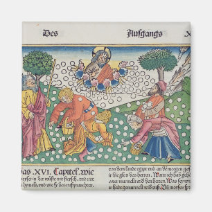 Exodus 16 13-22 God provides quail and manna to th Magnet