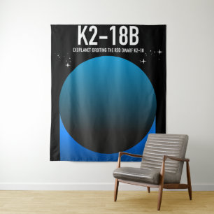 exoplanet K2-18b Tapestry