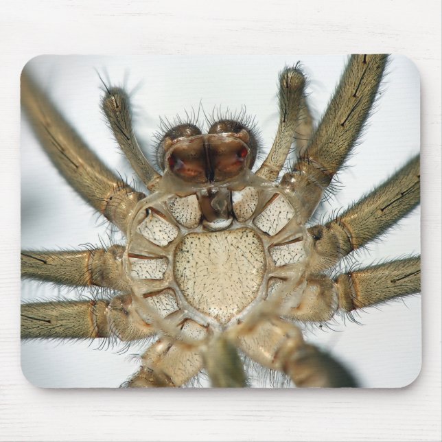 exoskeleton spider mouse pad (Front)