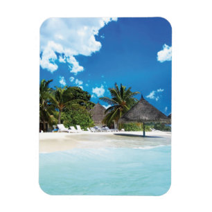 Exotic Beach  Magnet