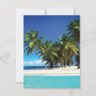 Exotic beach throw pillow holiday card