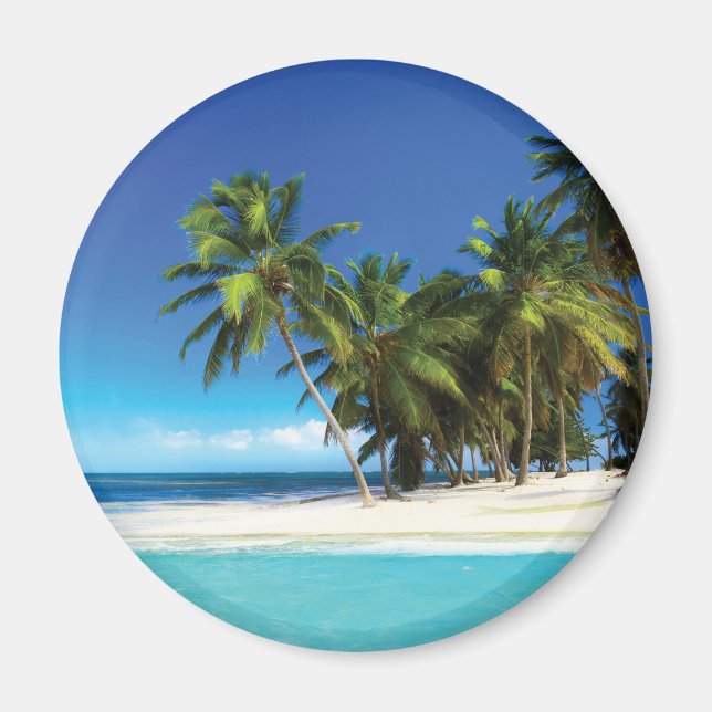 Exotic beach throw pillow magnet (Front)