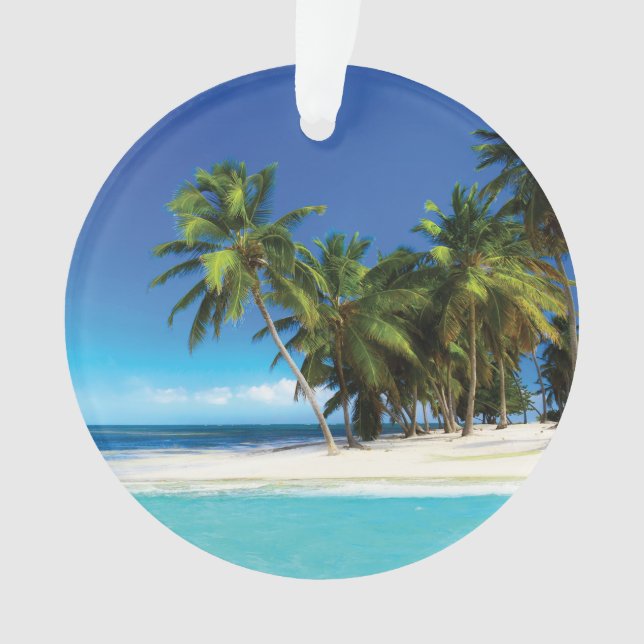 Exotic beach throw pillow ornament (Front)