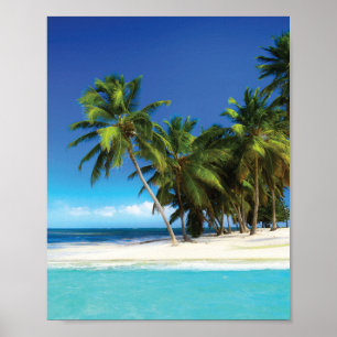 Exotic beach throw pillow poster