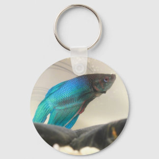 Exotic Betta Fish Closeup Key Ring