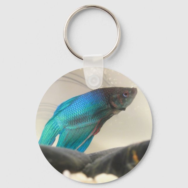 Exotic Betta Fish Closeup Key Ring (Front)