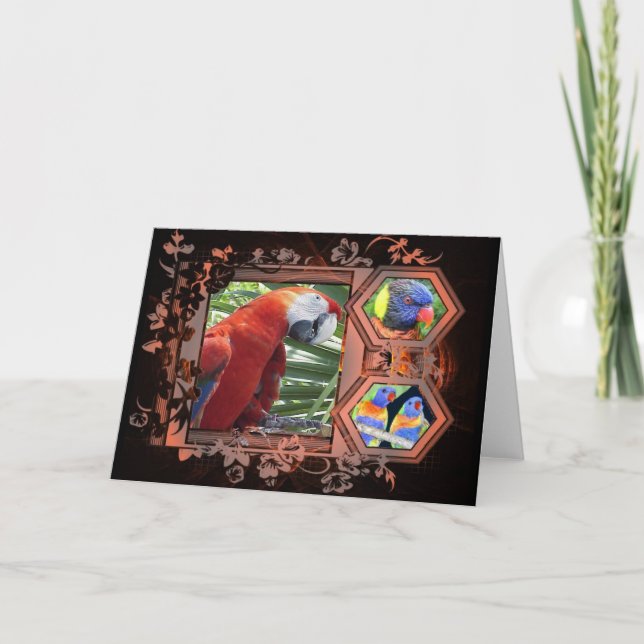 Exotic Birds Greeting Card (Front)
