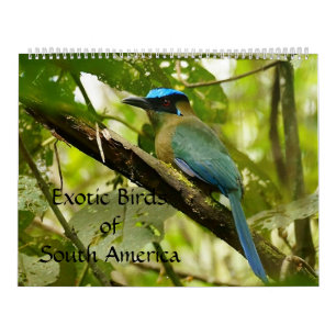 Exotic Birds of South America Calendar 2014