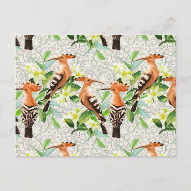 Exotic Birds On Lace Postcard (Front)