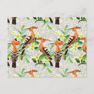 Exotic Birds On Lace Postcard