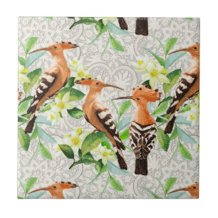 Exotic Birds On Lace Tile